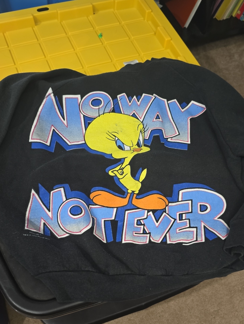 90s Warner Bros Tweety Bird Graphic Sweatshirt. XL Womens. Used Condition.